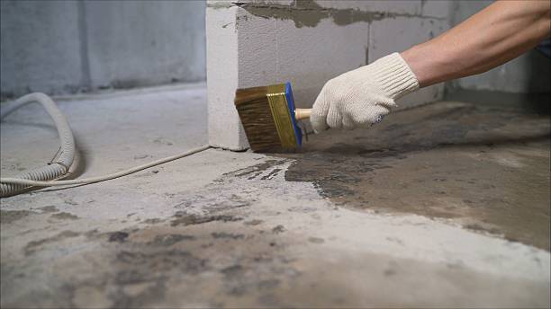 SJ Waterproofing Pros Waterproofing coverage map for Shelbyville, MI and surrounding area